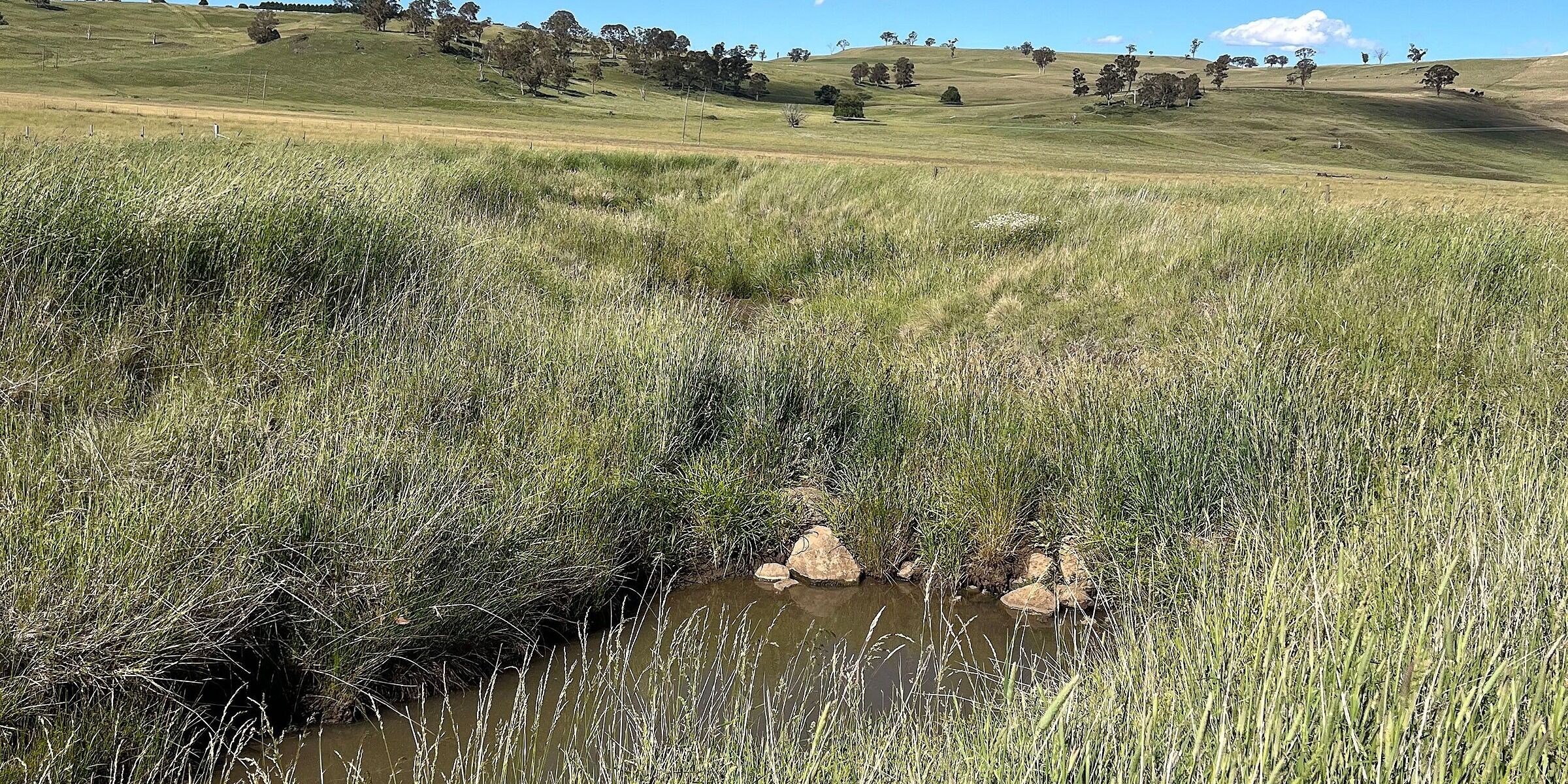 Landscape Rehydration Field Day – Armidale