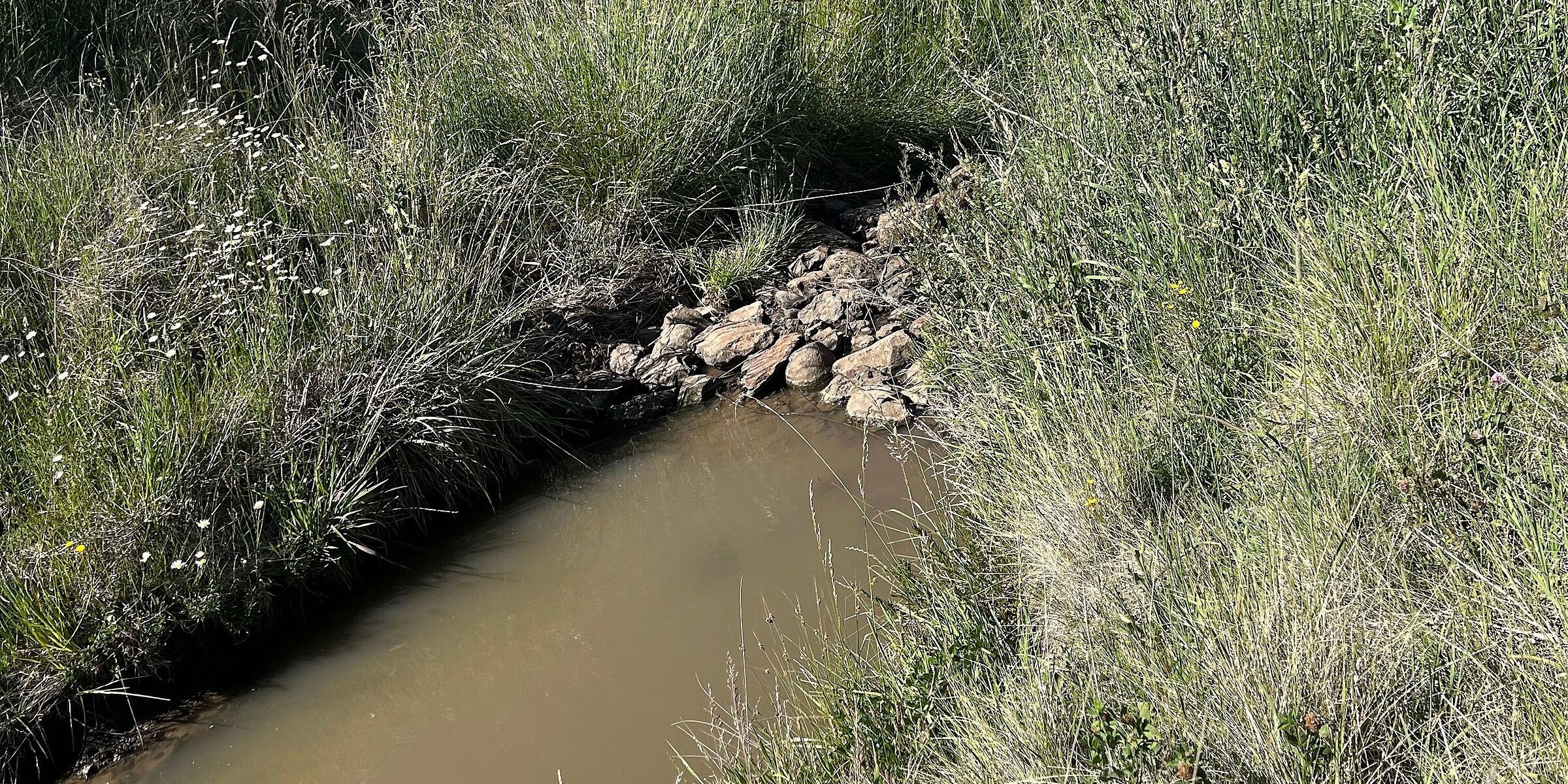 Landscape Rehydration Bootcamp – Armidale