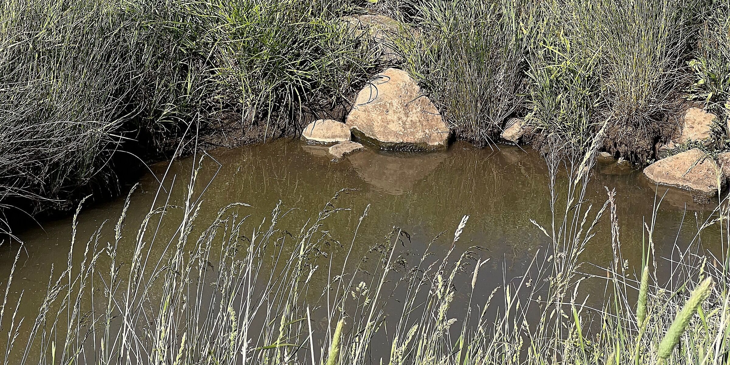 Boots on Ground Day – Armidale