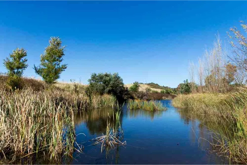 Mulloon Rehydration Initative