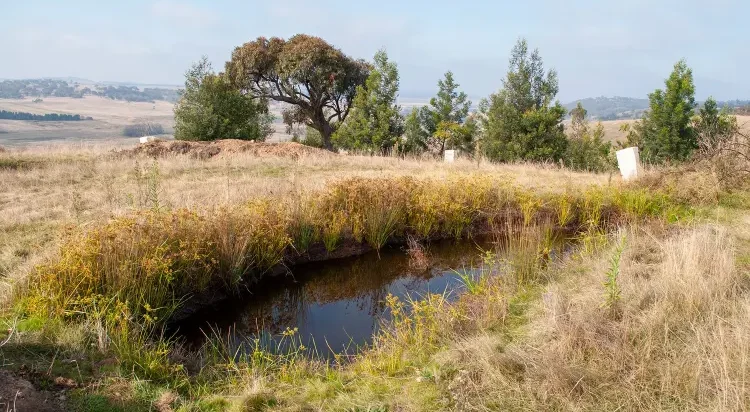 Mulloon Rehydration Initiative