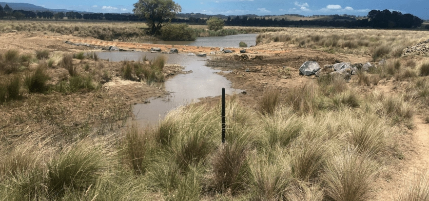Molonglo Catchment Rehydration Initiative Carwoola – Stage 1 (NSW)