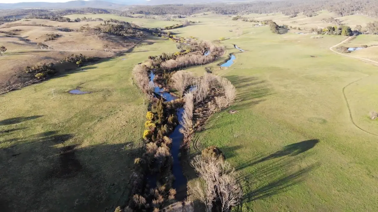 Global leaders in sustainable, productive & profitable agriculture