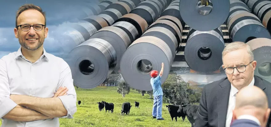 Greens support for federal Labor’s safeguard mechanism puts carbon farming at centre stage