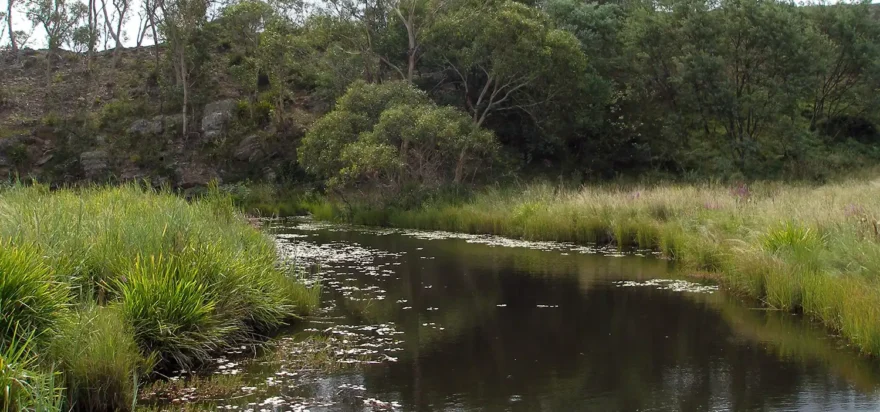 Water Stewardship Program