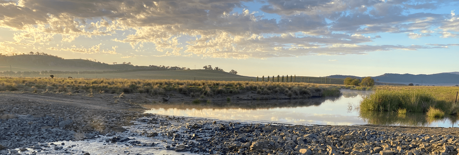 Molonglo Catchment Rehydration Initiative