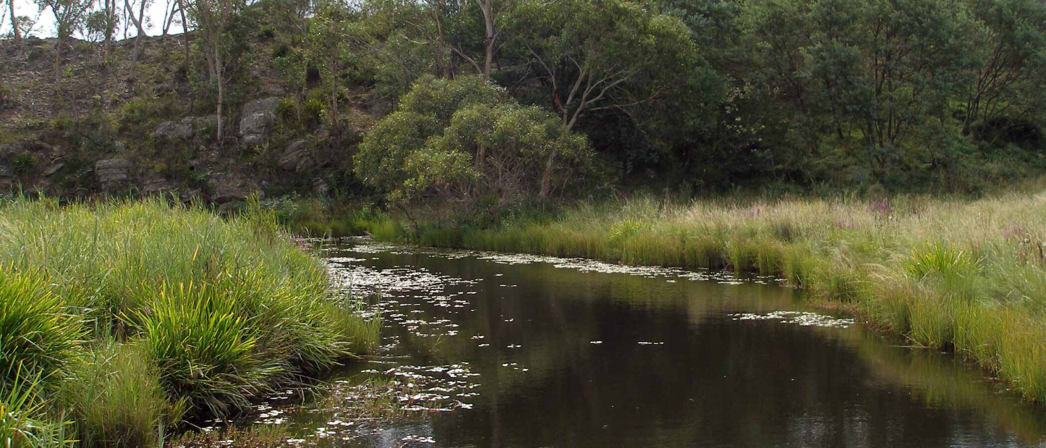 Announcing an innovative, community-led water stewardship program