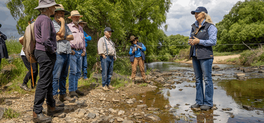 Summer Report from the CEO