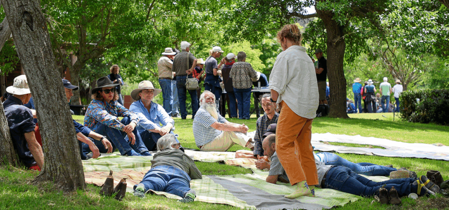 Organisational update: Growth, Collaboration and Impact