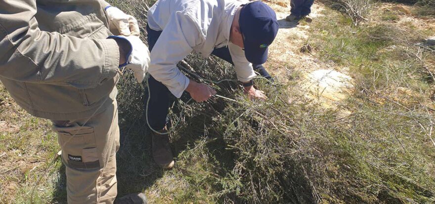 Community comes together to restore the Molonglo River