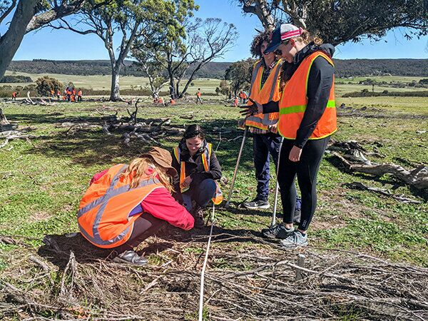 Sampling soil in existing 2018 brush packs.