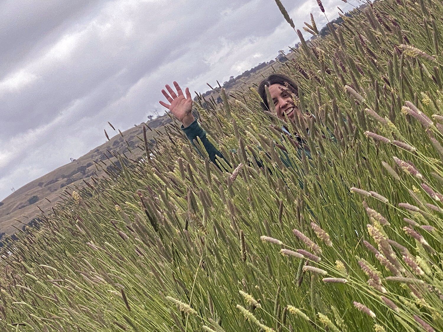 ... exceptional pasture growth!