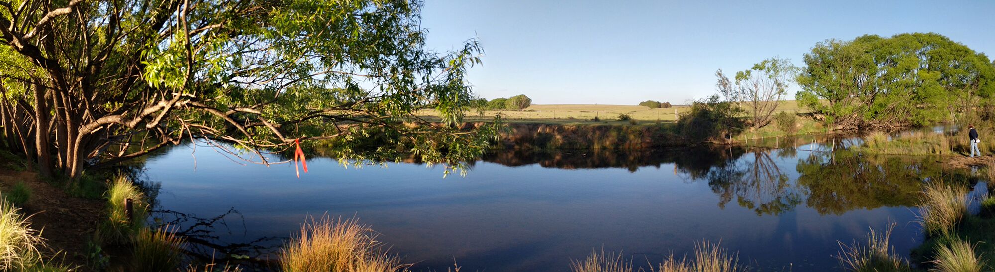 Transact 13 Site 2 Palerang.jpg