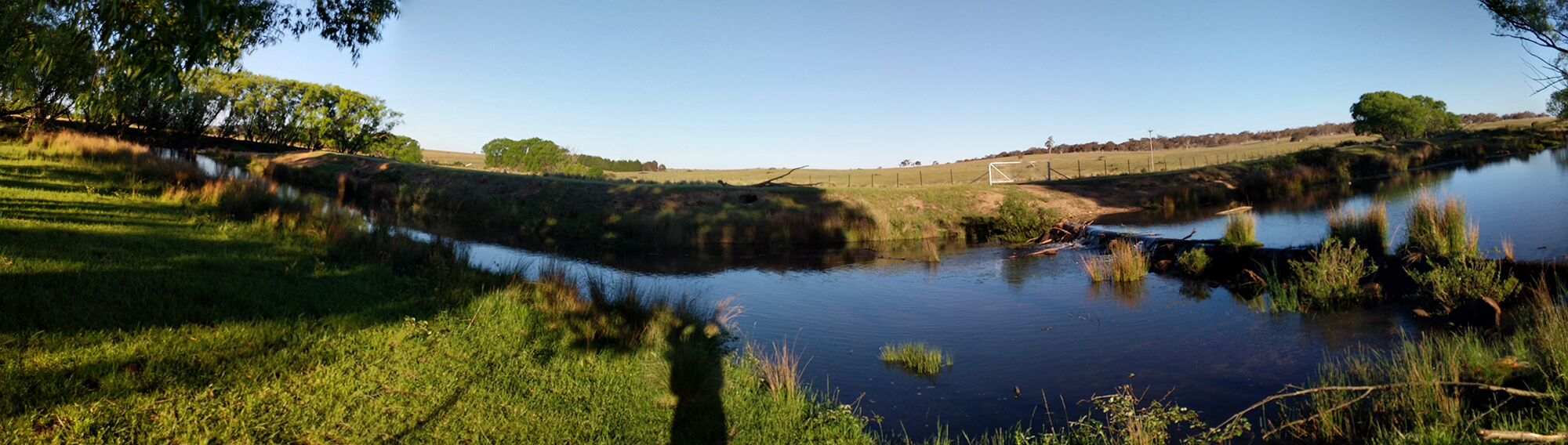 Transact 13 Site 4 Palerang.jpg