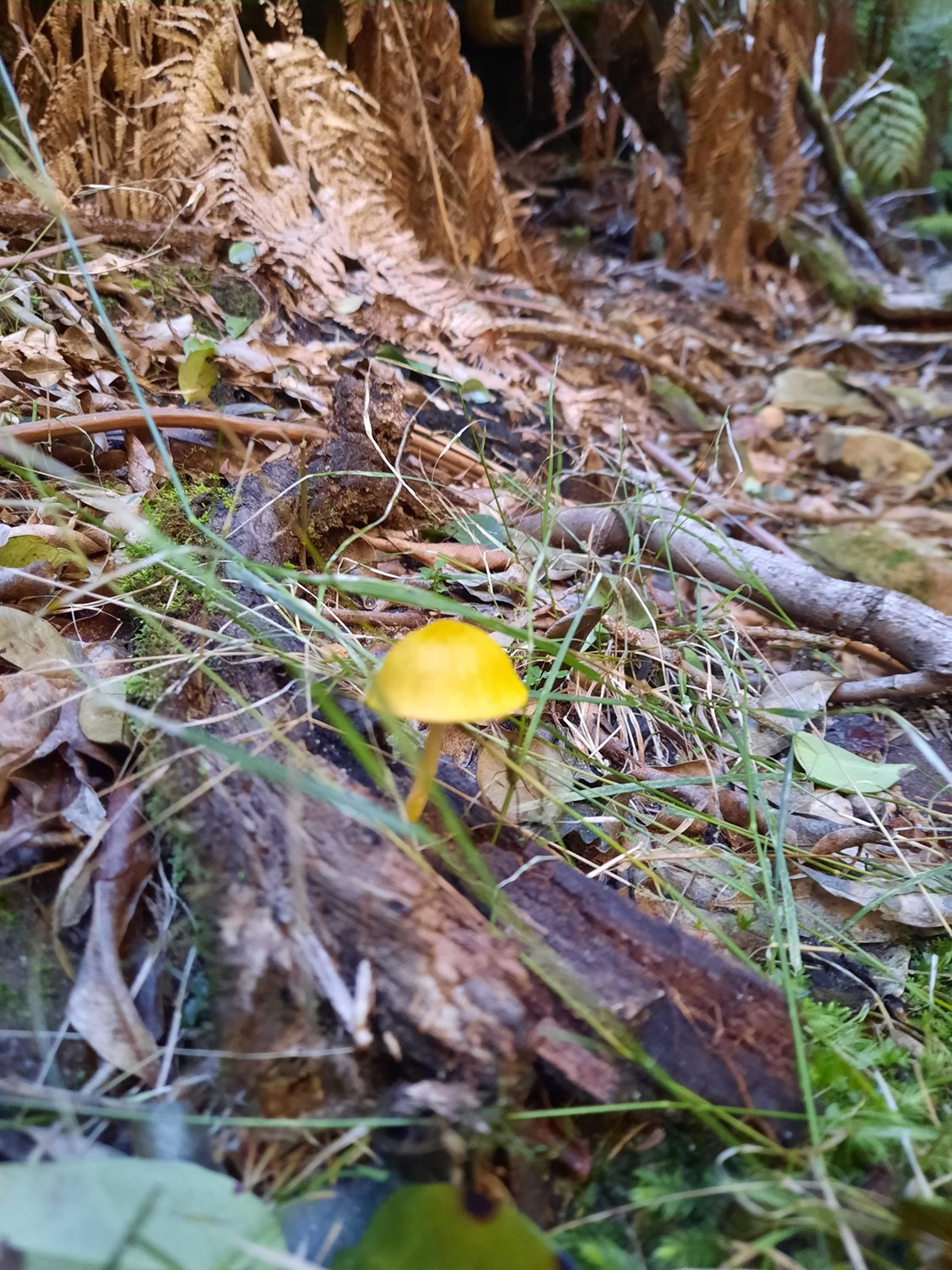 20230513_101950.jpg