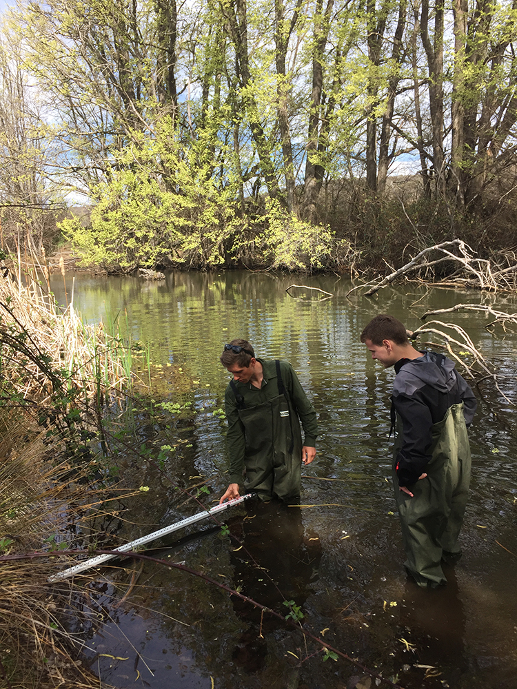  Measuring streambed shape with surveyors staff. 