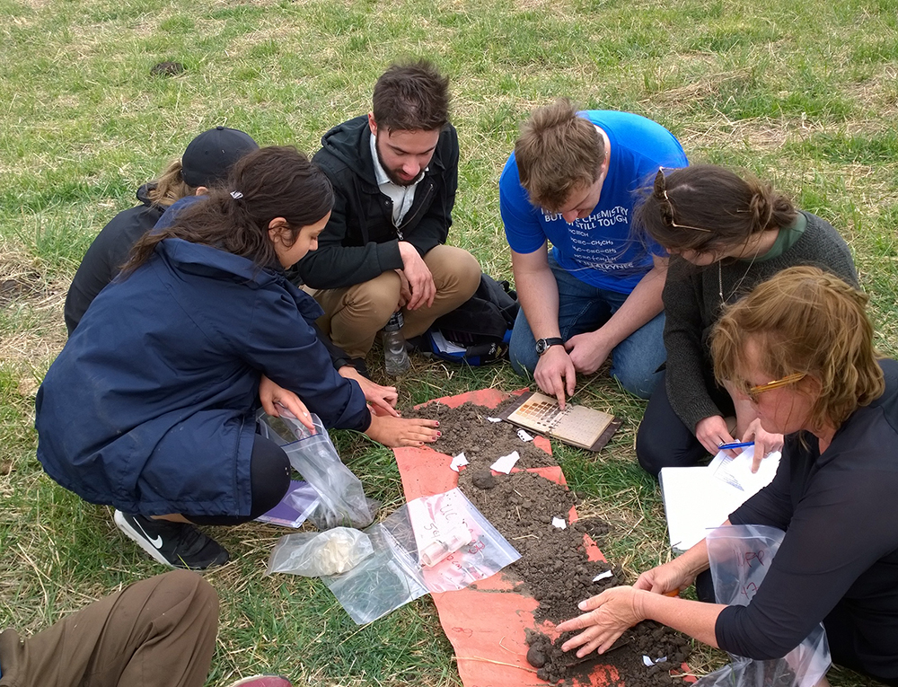  Profiling soil samples using including field analysis (pH, texture, colour). 