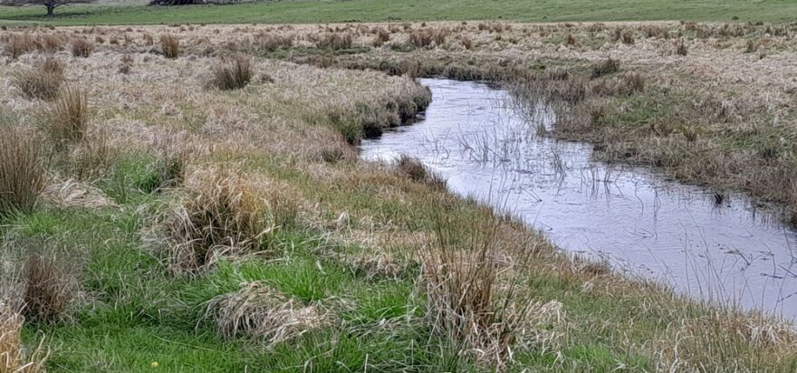 Landscape Rehydration Field Day – Cathcart, NSW
