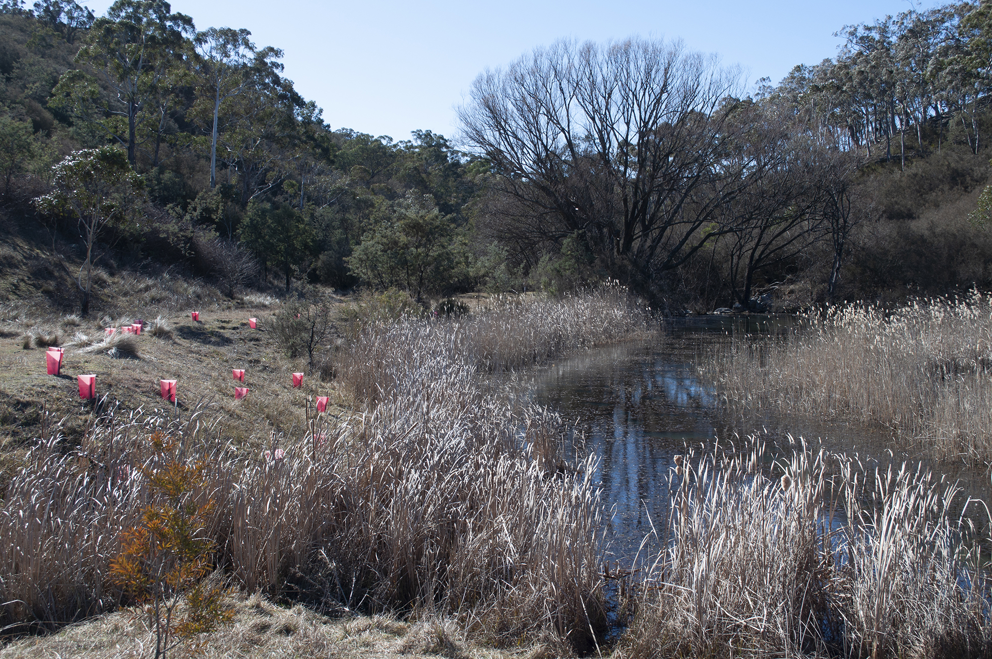  Peter's Pond is still holding water, hydrating the surrounding landscape and trickling downstream. 