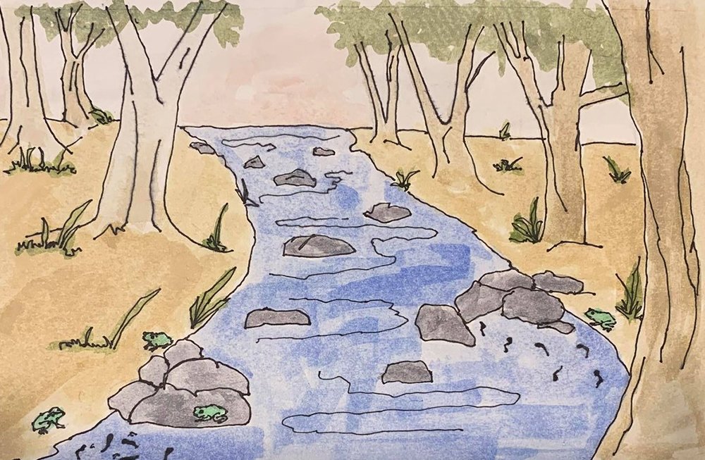  Water colours by Anna Kell, ANU. 