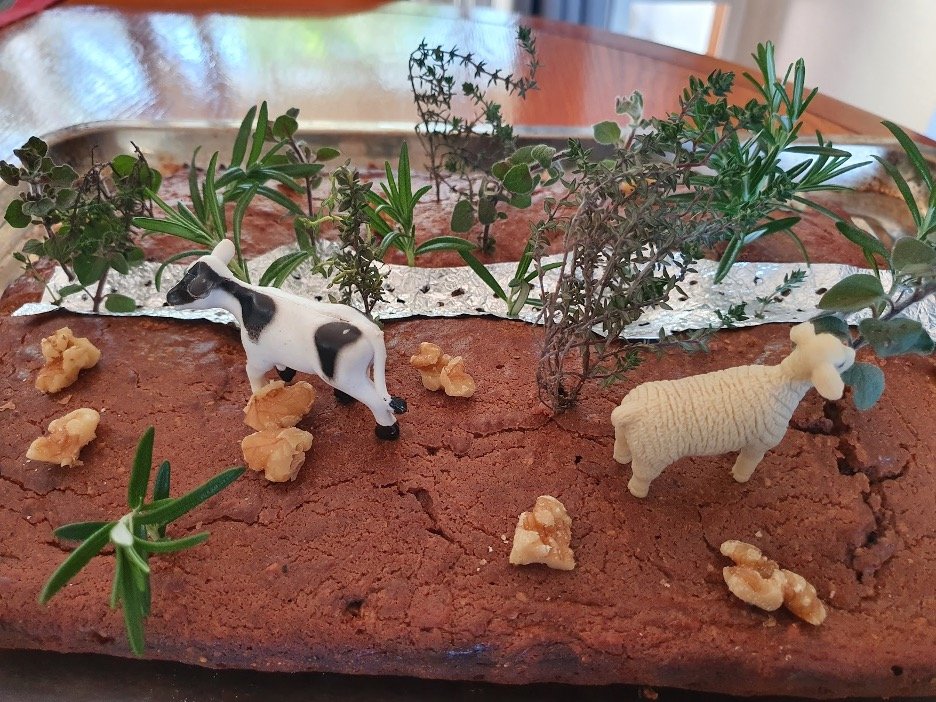 ‘Chain of Ponds’ cake by Kim Williams, UOW lecturer. 