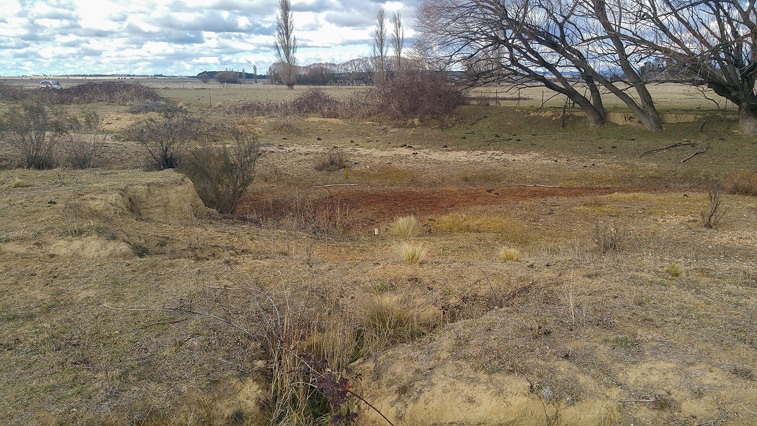 'Palerang' - PM7 - 2018