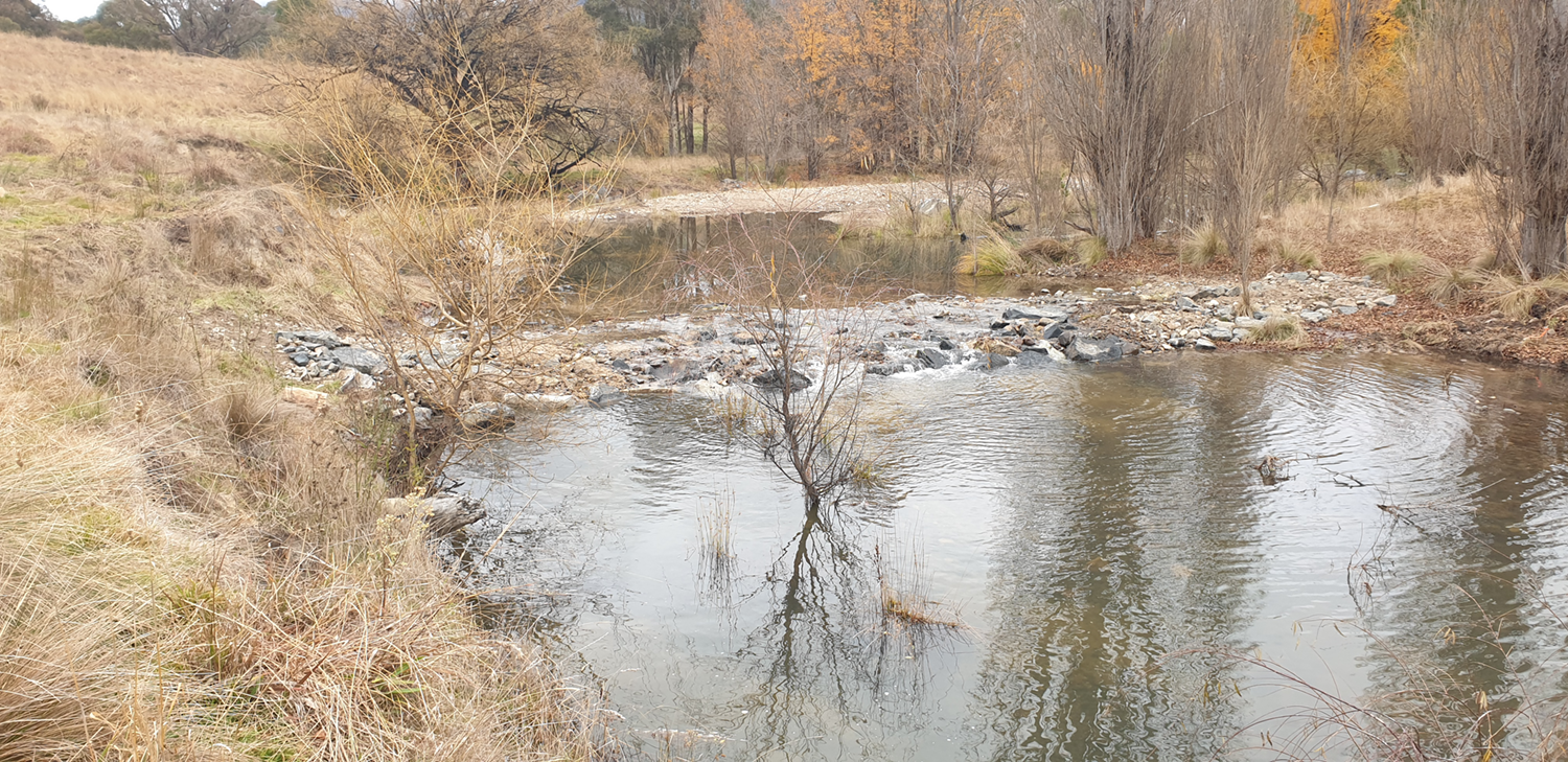 TS3-right-bank-looking-upstream-after1500px.png