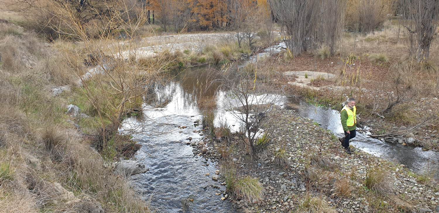 TS3-right-bank-looking-upstream-before1500px.png