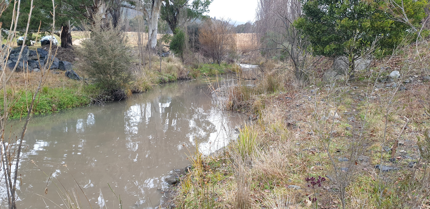 TS5-left-bank-looking-upstream-before1500px.png