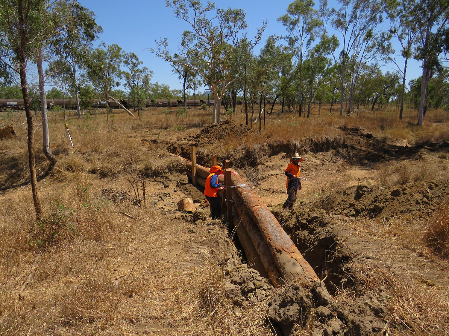  Stage 1 of leaky weir construction : logs checked into banks. 