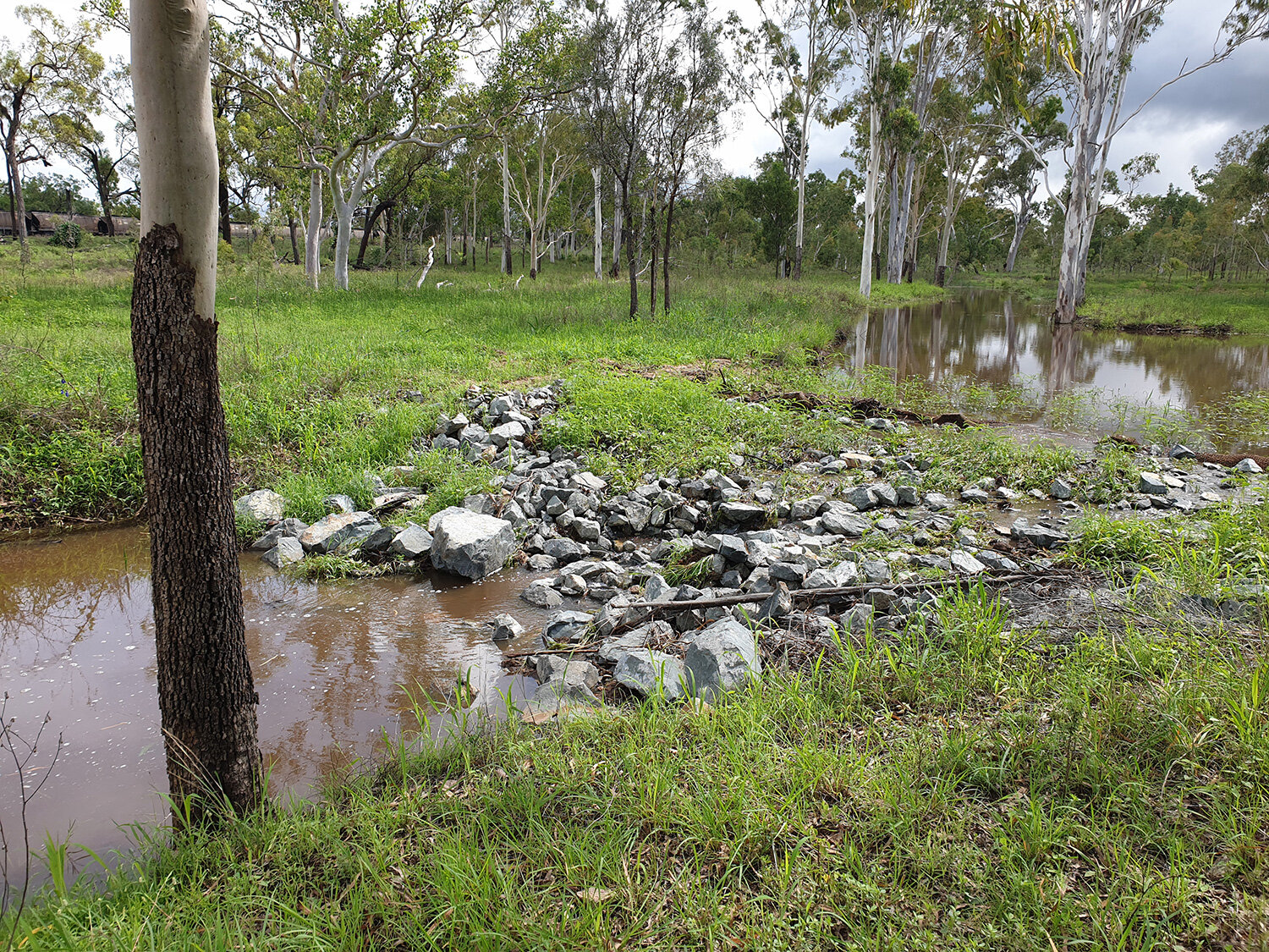  Stage 4: 10 days after 100mm of rain!! 