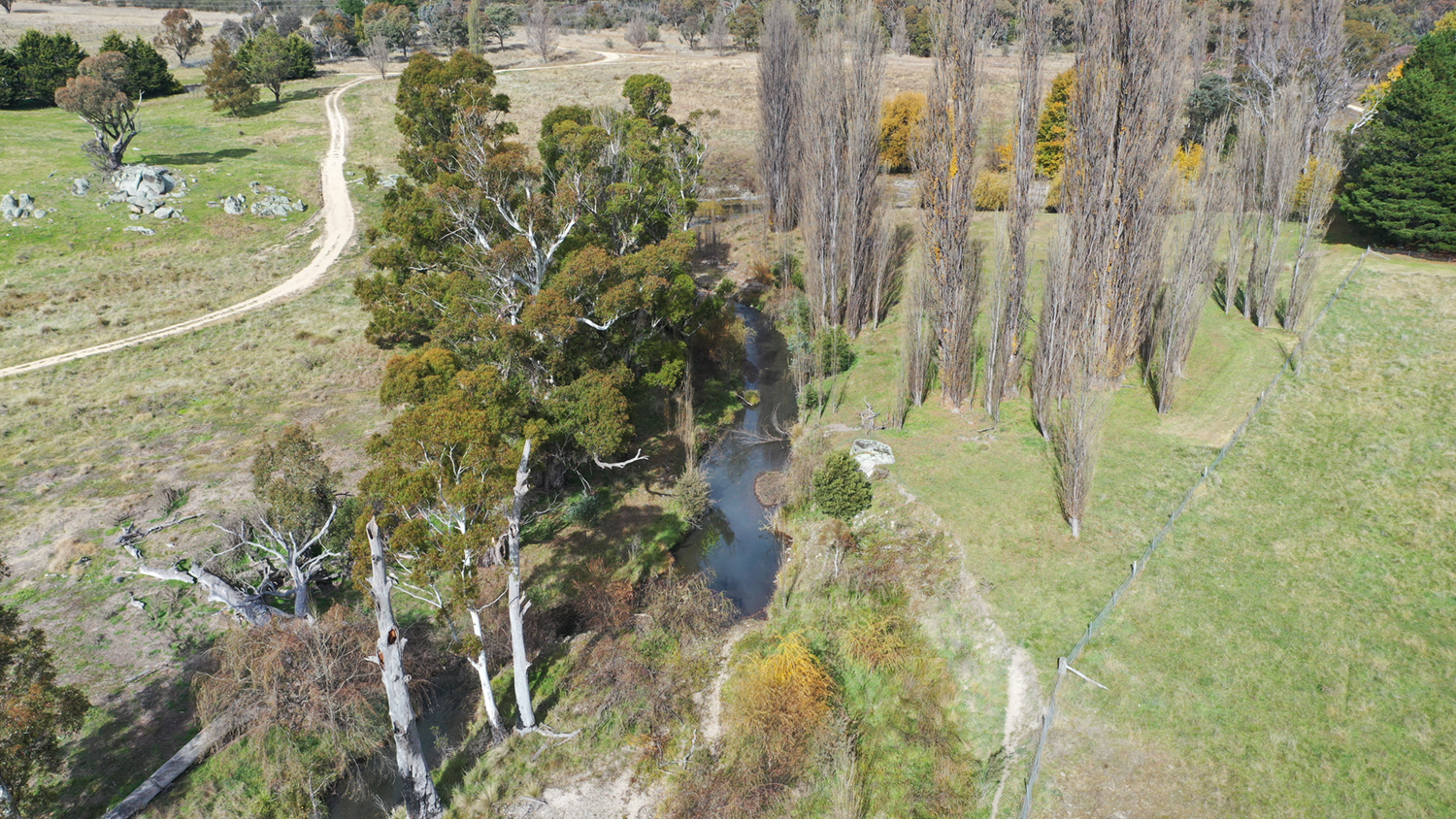 looking-upstream-aerial-(2)-before1500px.png