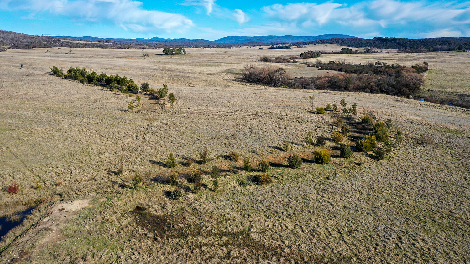 Mulloon Farm North