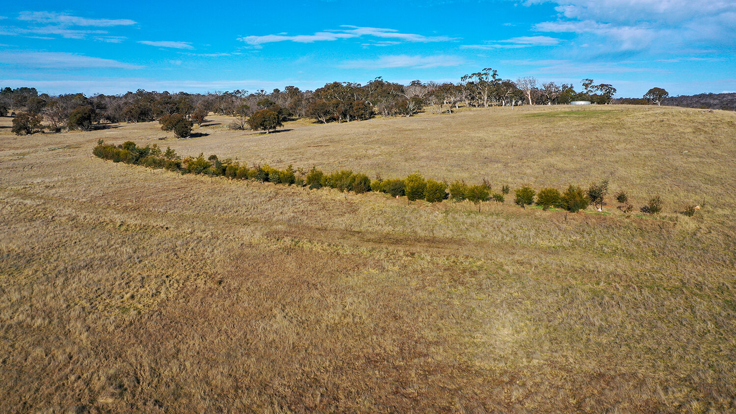 Mulloon Farm North