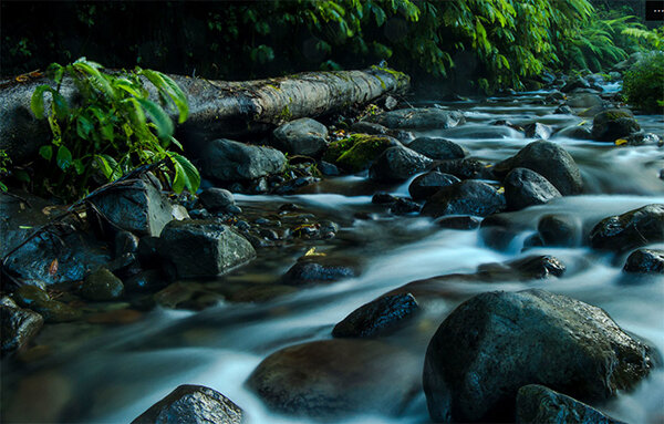 stream-600px.jpg