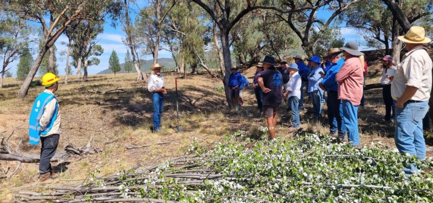 Mulloon ‘on tour’ in Central West NSW!