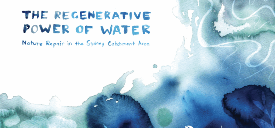 Caring for our sunlit water – our new book!