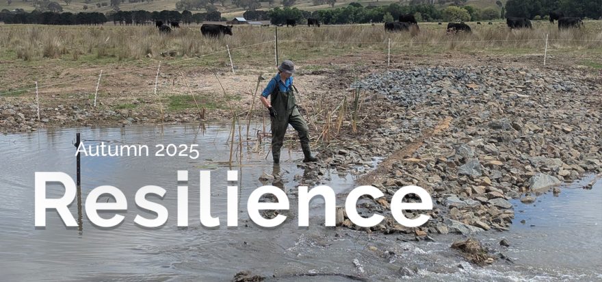 Autumn Resilience eNewsletter out now