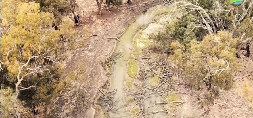 Discover the Heart of Regeneration: our new Corporate Video