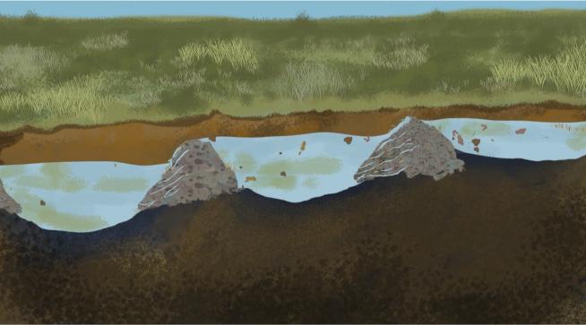 7. Regenerating Landscapes with Natural Infrastructure
