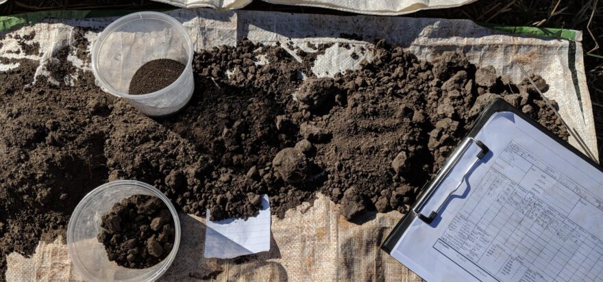 The $10 Trillion Soil Solution – reflections from Berlin