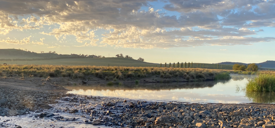 Molonglo Catchment Rehydration Initiative