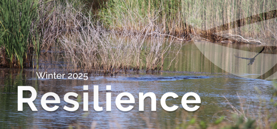 Resilience – Winter 2025 ❄️