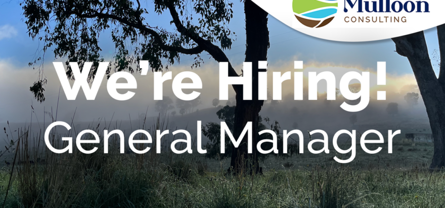 General Manager – Mulloon Consulting
