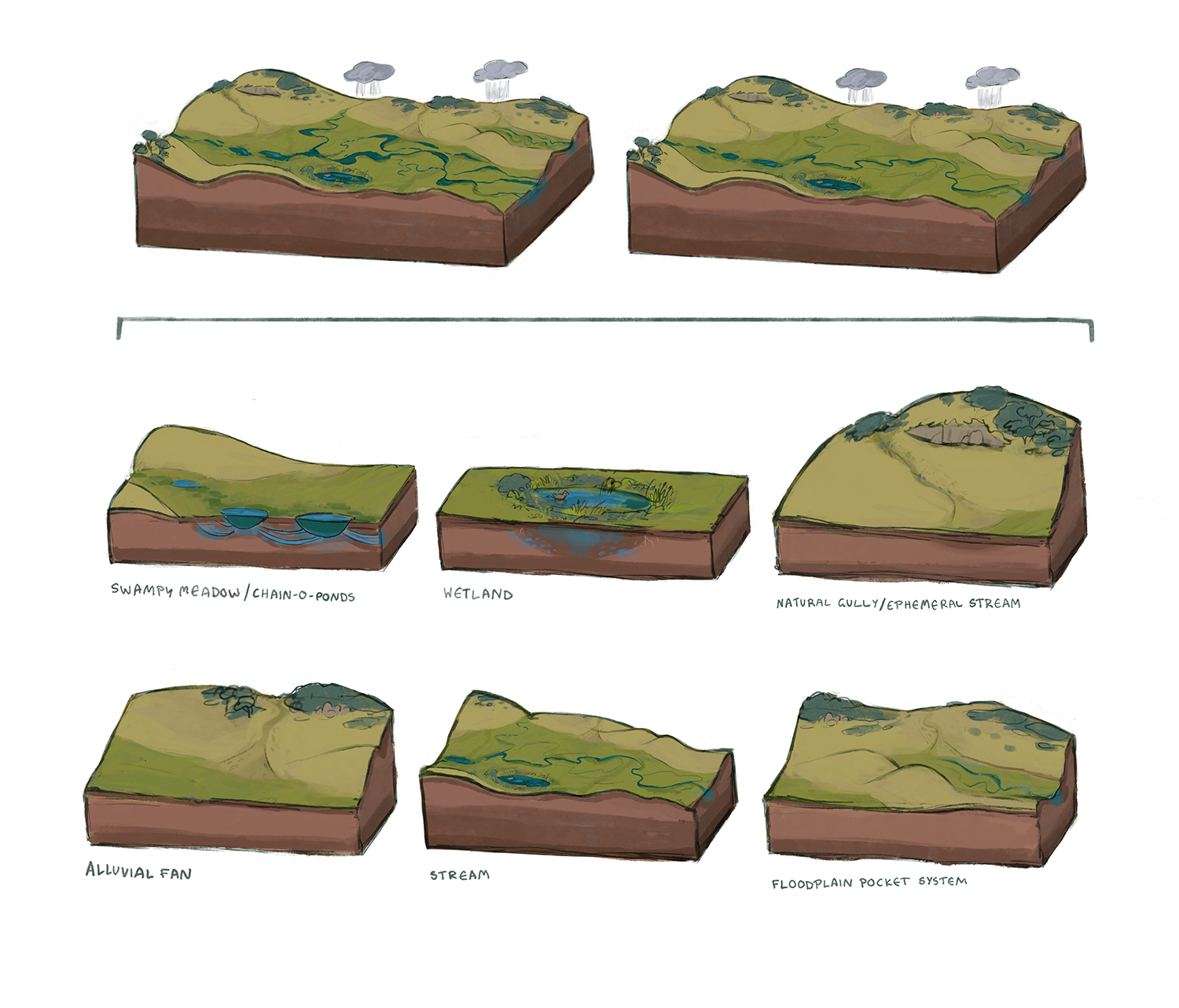 Science Week graphic 1