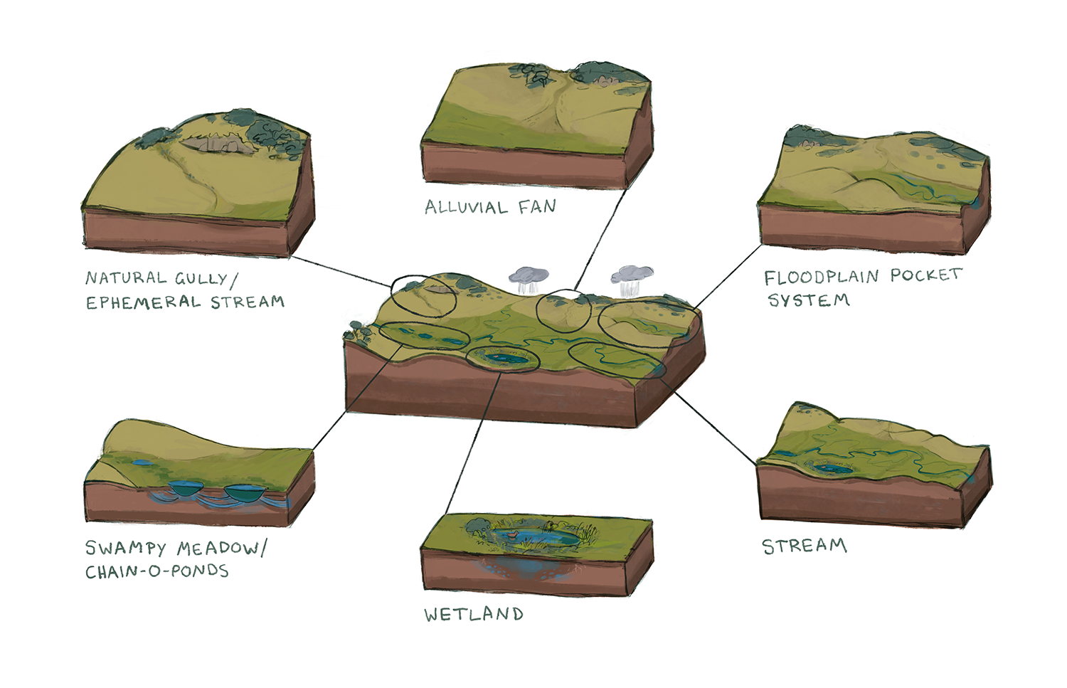 Science Week graphic