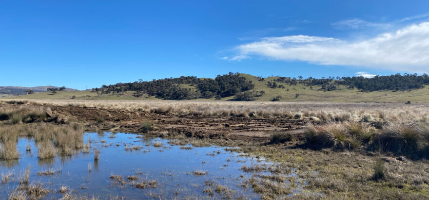 Molonglo Catchment Rehydration Initiative update