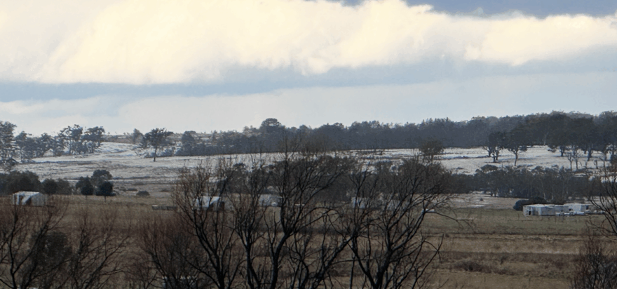 Mulloon Creek Natural Farms winter roundup