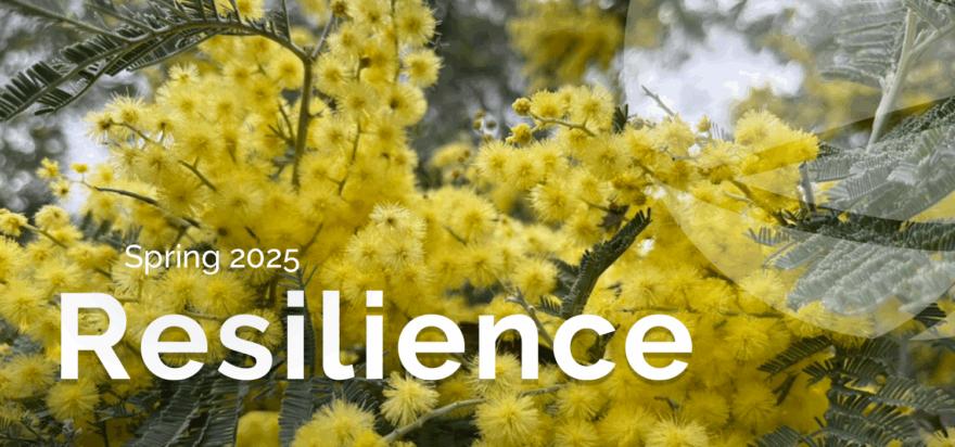 Resilience – Spring 2025 🌿