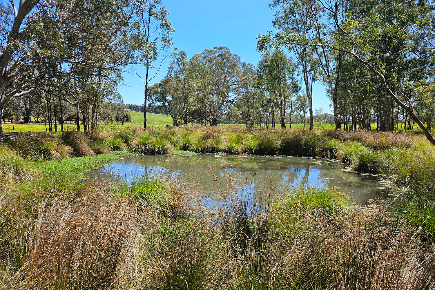 Description of image